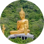 01.02.003 gouden boeddha in bossen cirkel