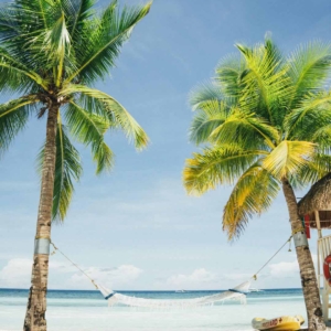 03.03.019 palmbomen met hangmat op het strand staand