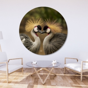 03.05.010 twee grijze kroonkraanvogels woonkamer sfeer cirkel