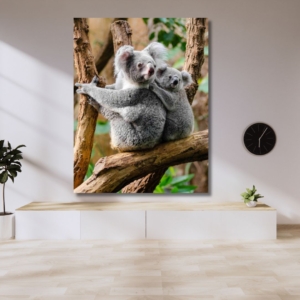 03.05.016 twee koala's zittend op tak woonkamer sfeer staand