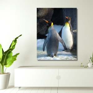 03.05.018 twee koningspinguïn woonkamer sfeer staand